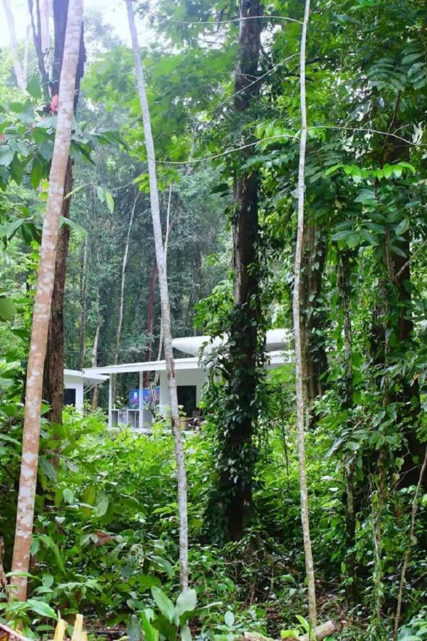 Casa Eden - Modern Peaceful Jungle Apartments Cocles Extérieur photo