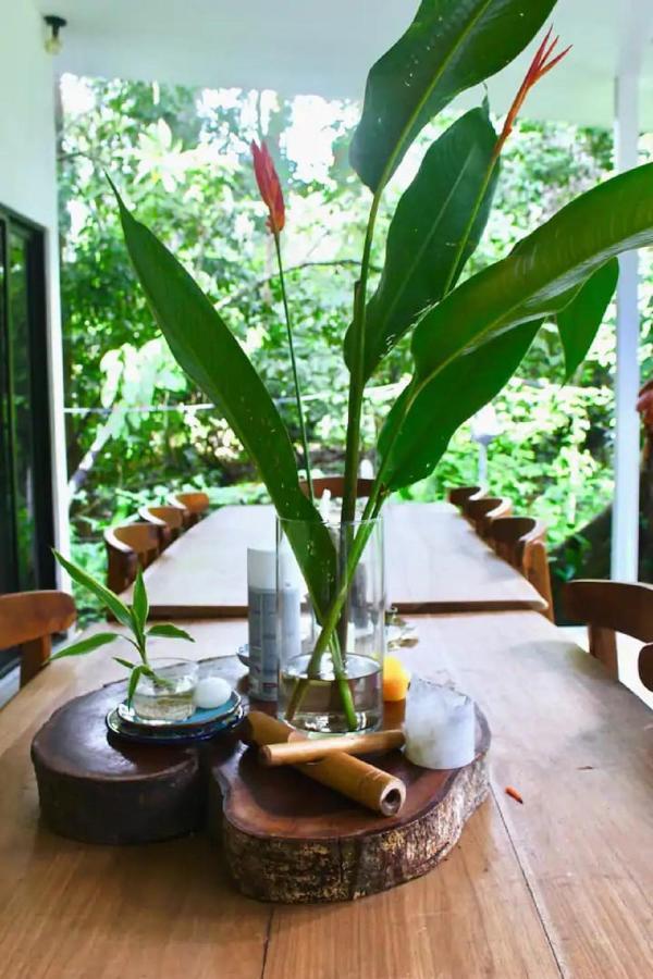 Casa Eden - Modern Peaceful Jungle Apartments Cocles Extérieur photo