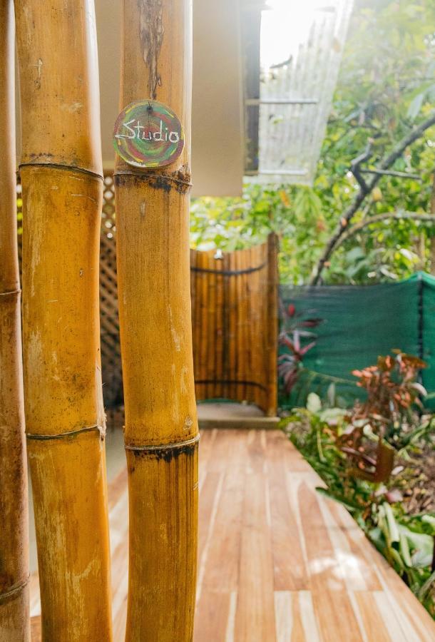 Casa Eden - Modern Peaceful Jungle Apartments Cocles Extérieur photo