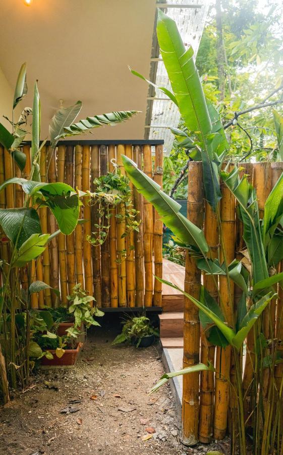 Casa Eden - Modern Peaceful Jungle Apartments Cocles Extérieur photo