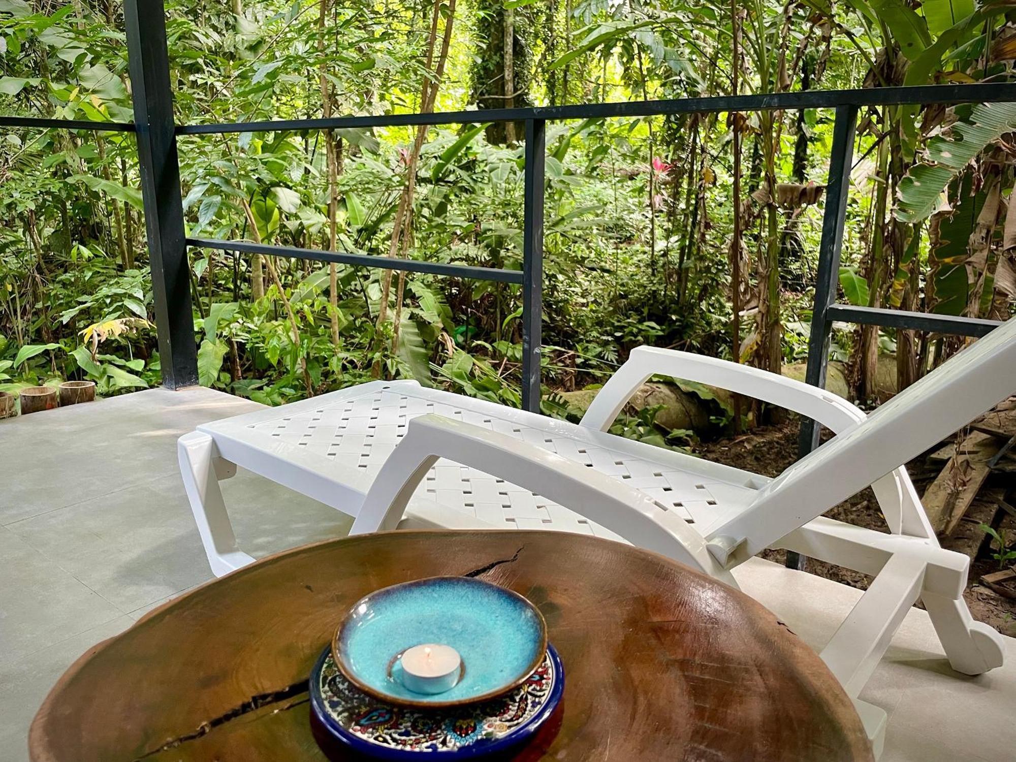 Casa Eden - Modern Peaceful Jungle Apartments Cocles Extérieur photo