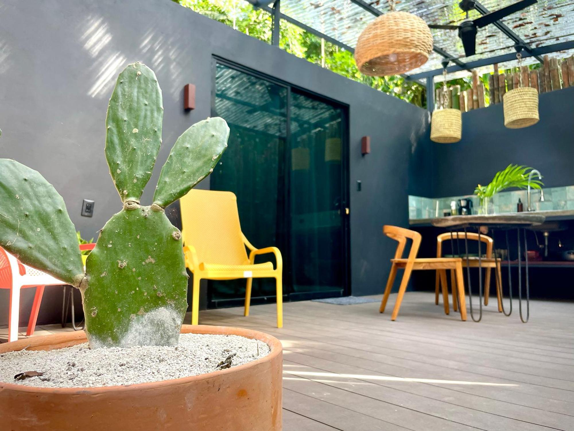 Casa Eden - Modern Peaceful Jungle Apartments Cocles Extérieur photo