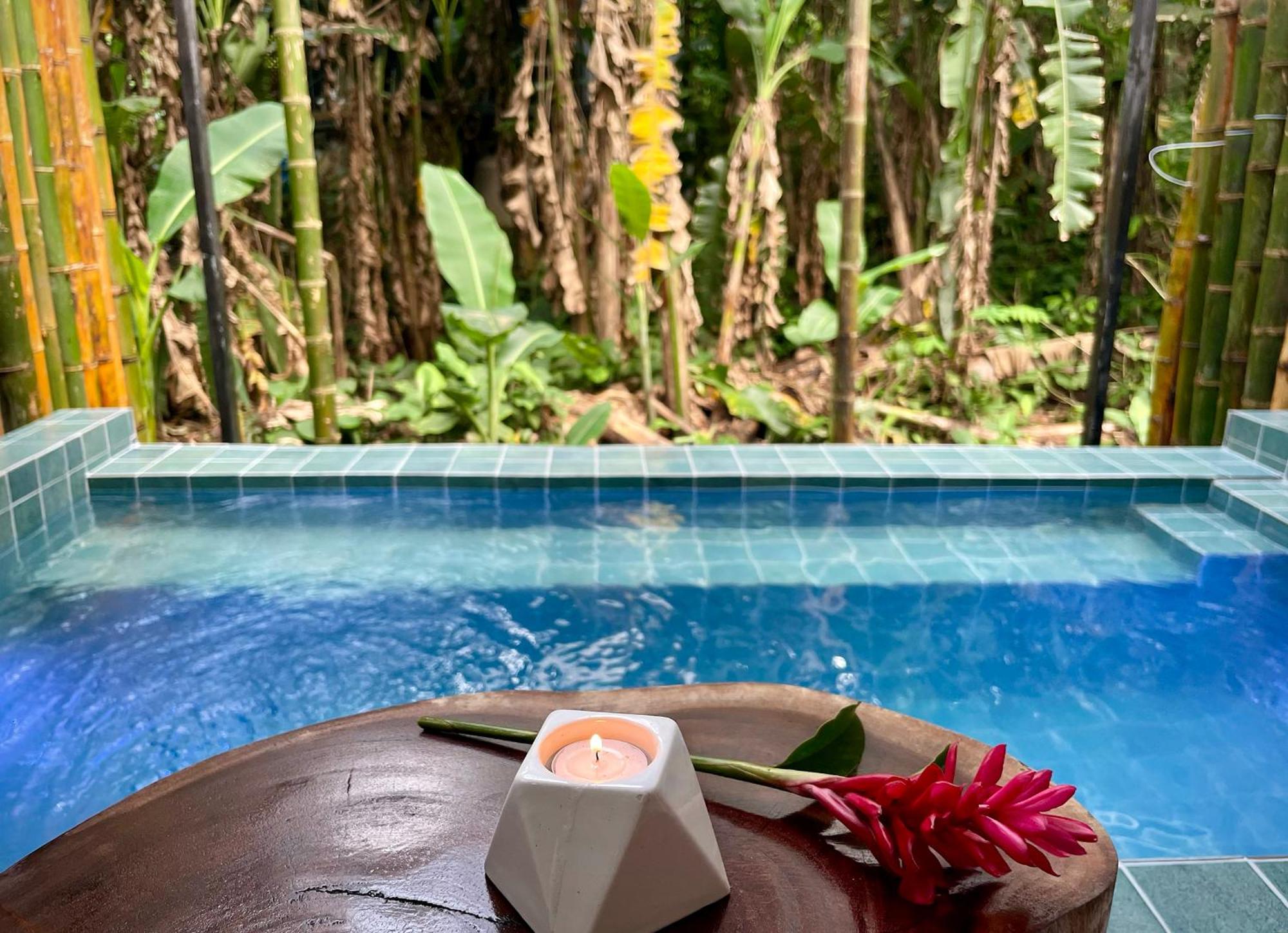 Casa Eden - Modern Peaceful Jungle Apartments Cocles Chambre photo